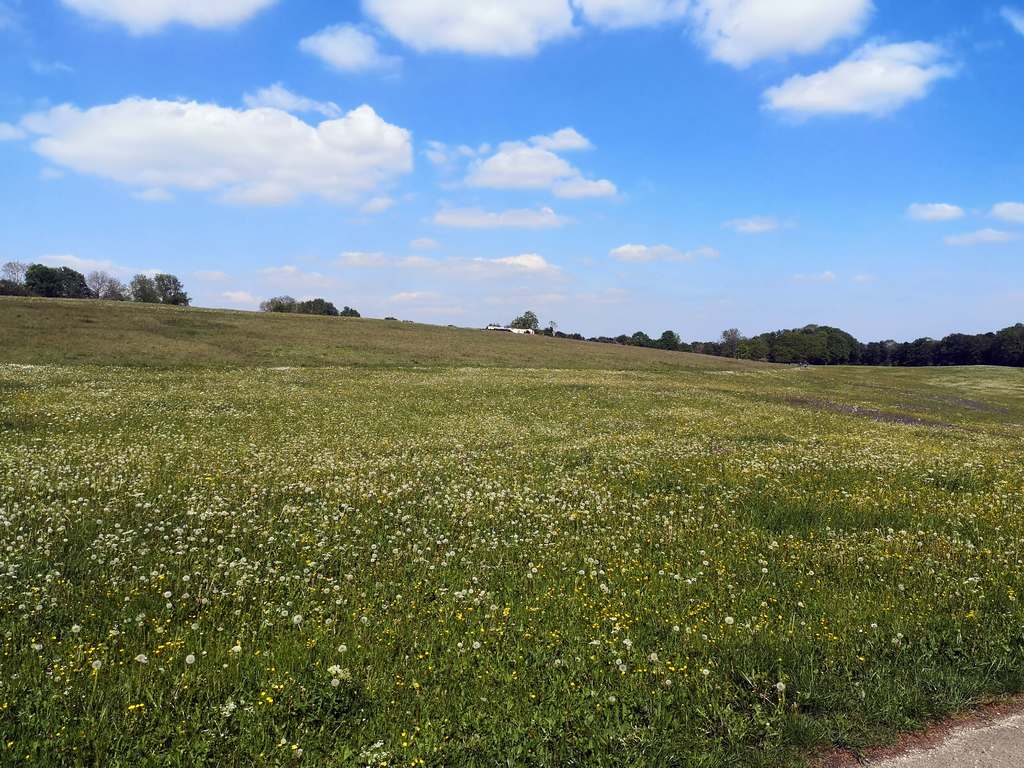 Tour nach Zainingen 16.05//17.05.