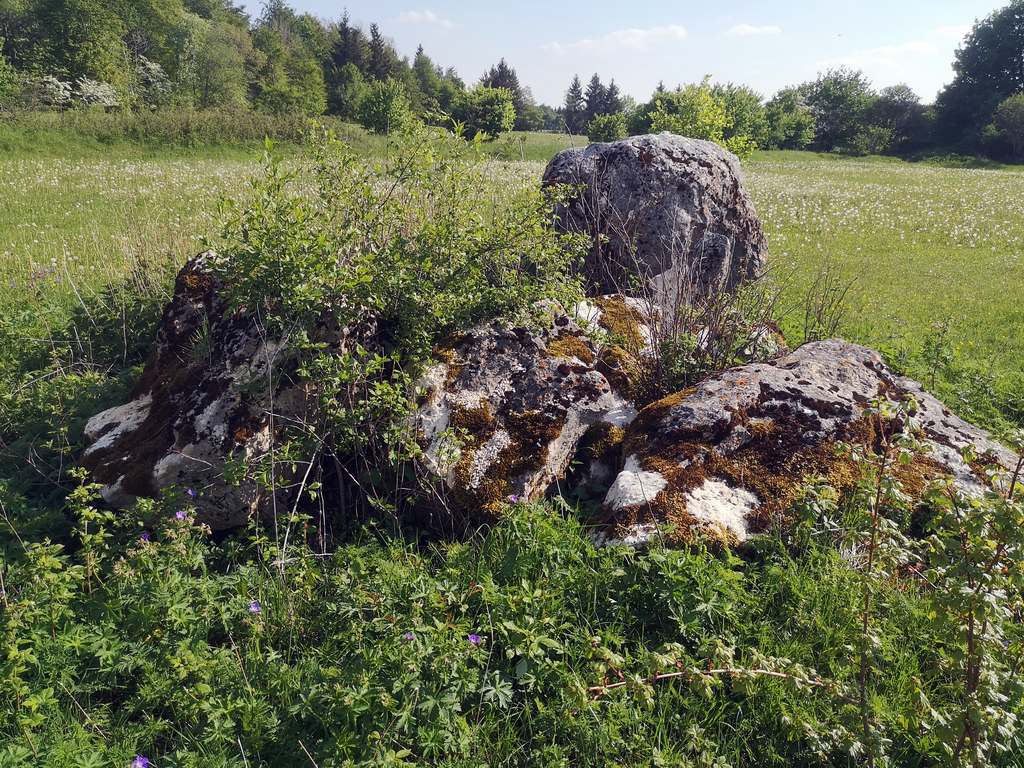 Tour nach Zainingen 16.05//17.05.