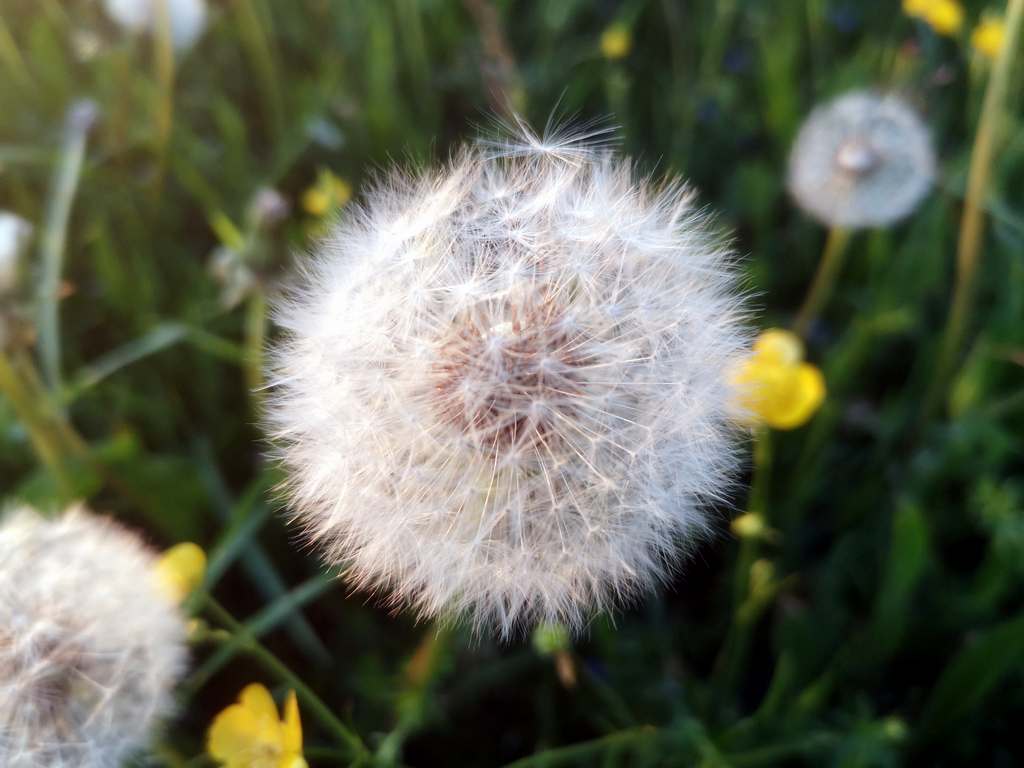 Tour nach Zainingen 16.05//17.05.