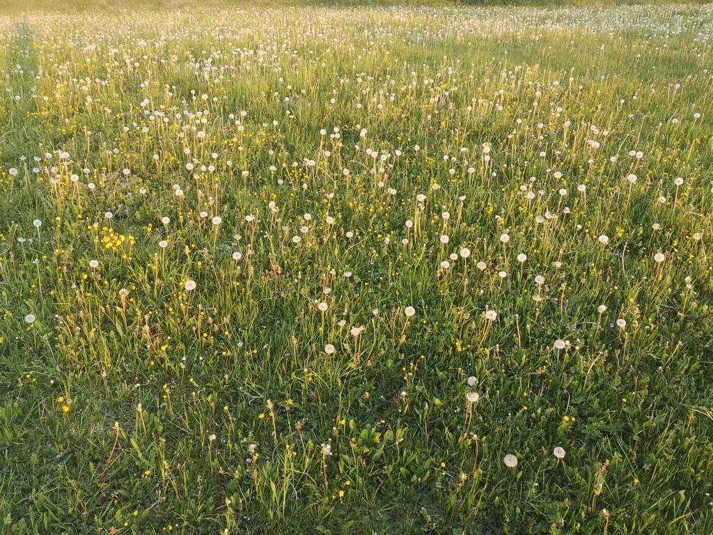 Tour nach Zainingen 16.05//17.05.