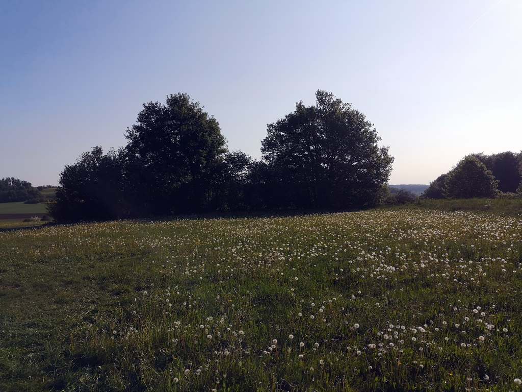 Tour nach Zainingen 16.05//17.05.