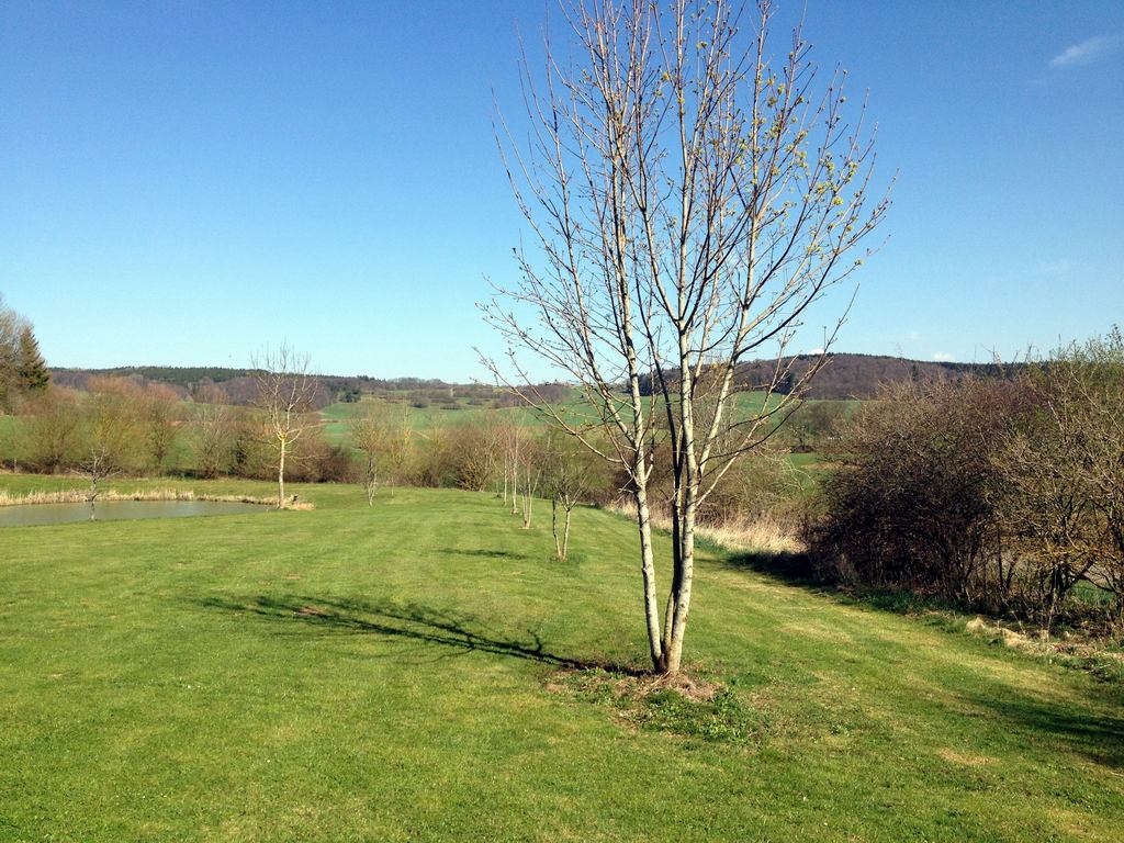 Campingplatz Lauberg