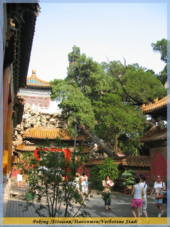 IMG_6748.JPG