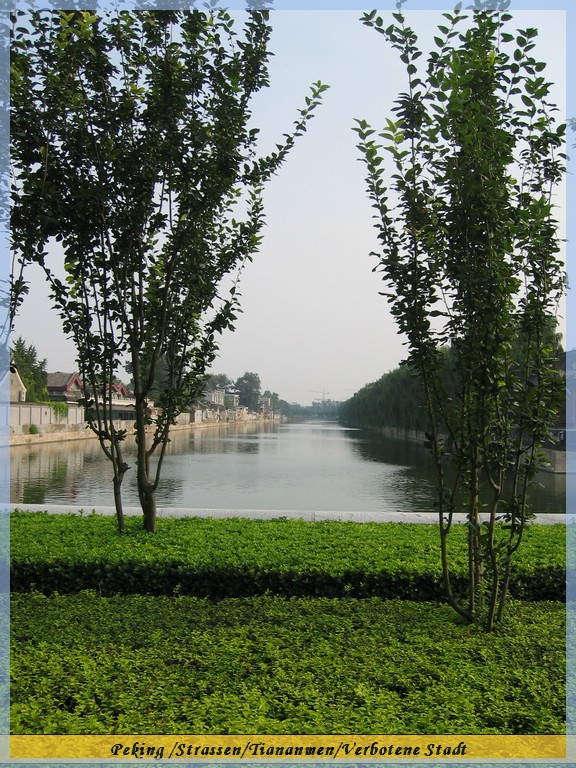 IMG_6764.JPG