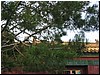 IMG_6678.JPG