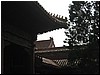IMG_6688.JPG