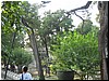 IMG_6725.JPG