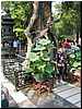 IMG_6727.JPG
