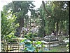IMG_6729.JPG