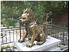 IMG_6732.JPG