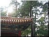 IMG_6736.JPG
