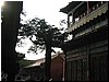 IMG_6744.JPG