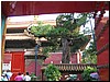 IMG_6751.JPG