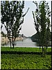 IMG_6764.JPG