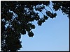IMG_6770.JPG