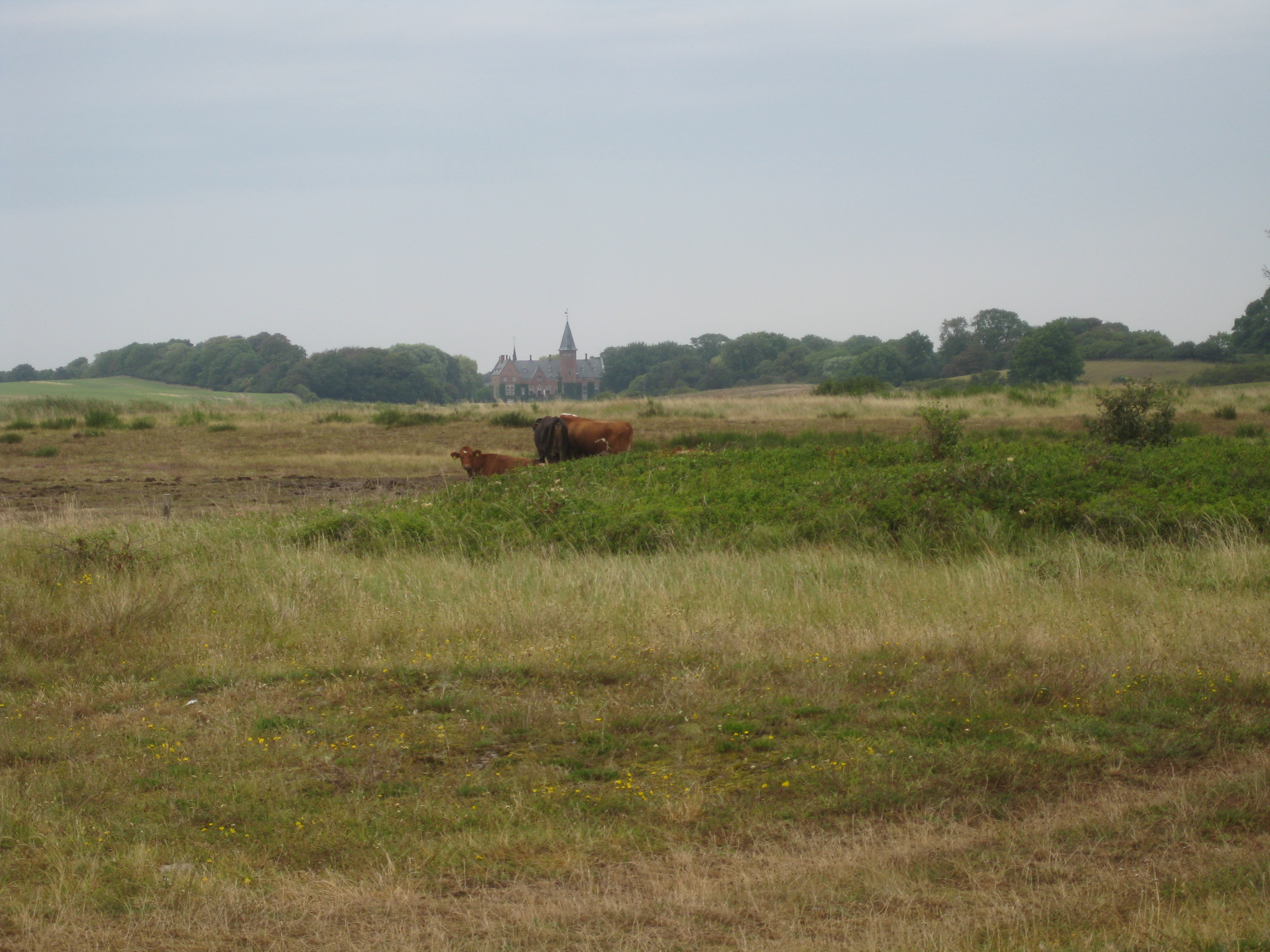 60 KM Wanderung um Sams&ouml; (20.08.2020)