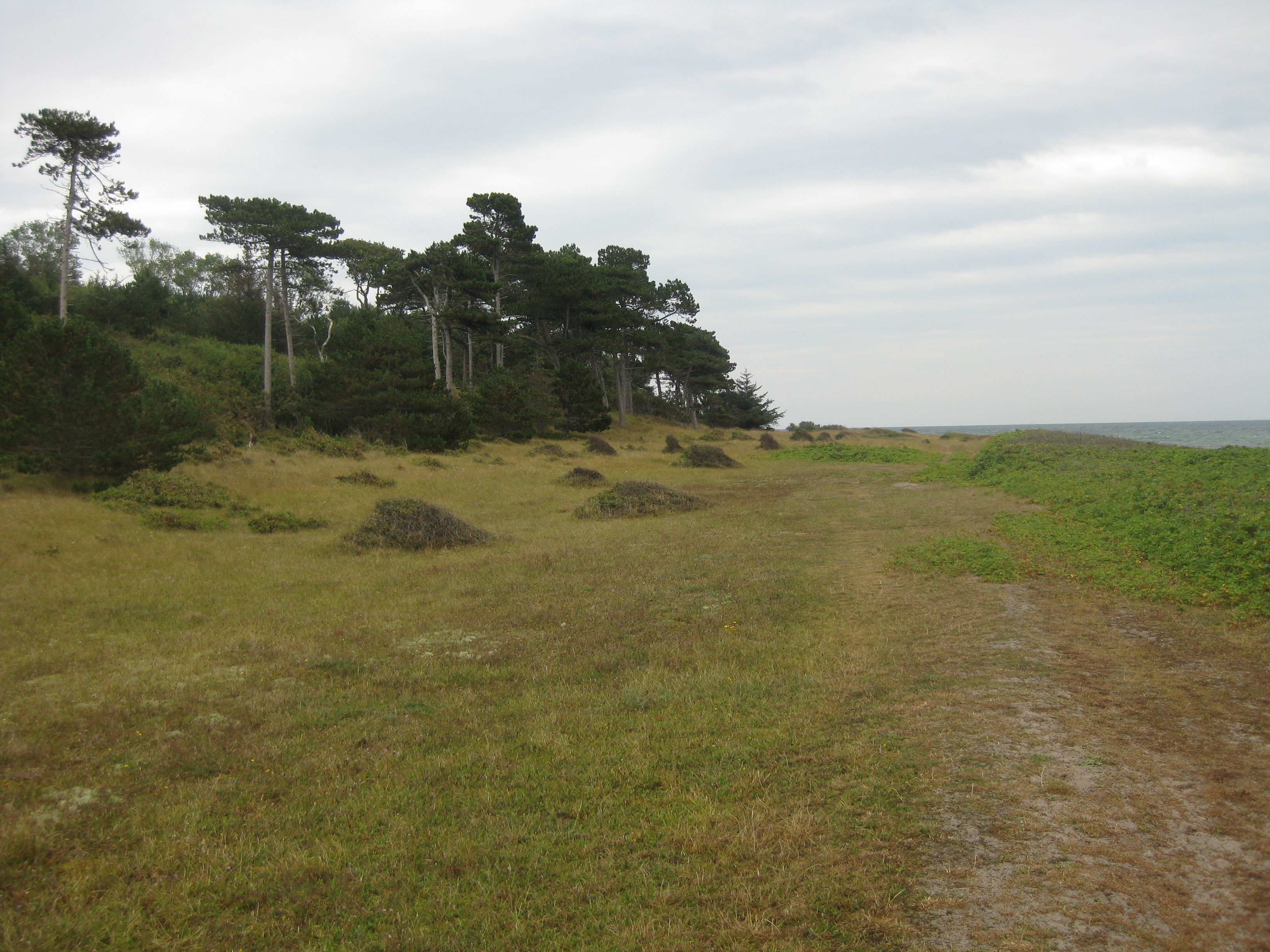 60 KM Wanderung um Sams&ouml; (20.08.2020)