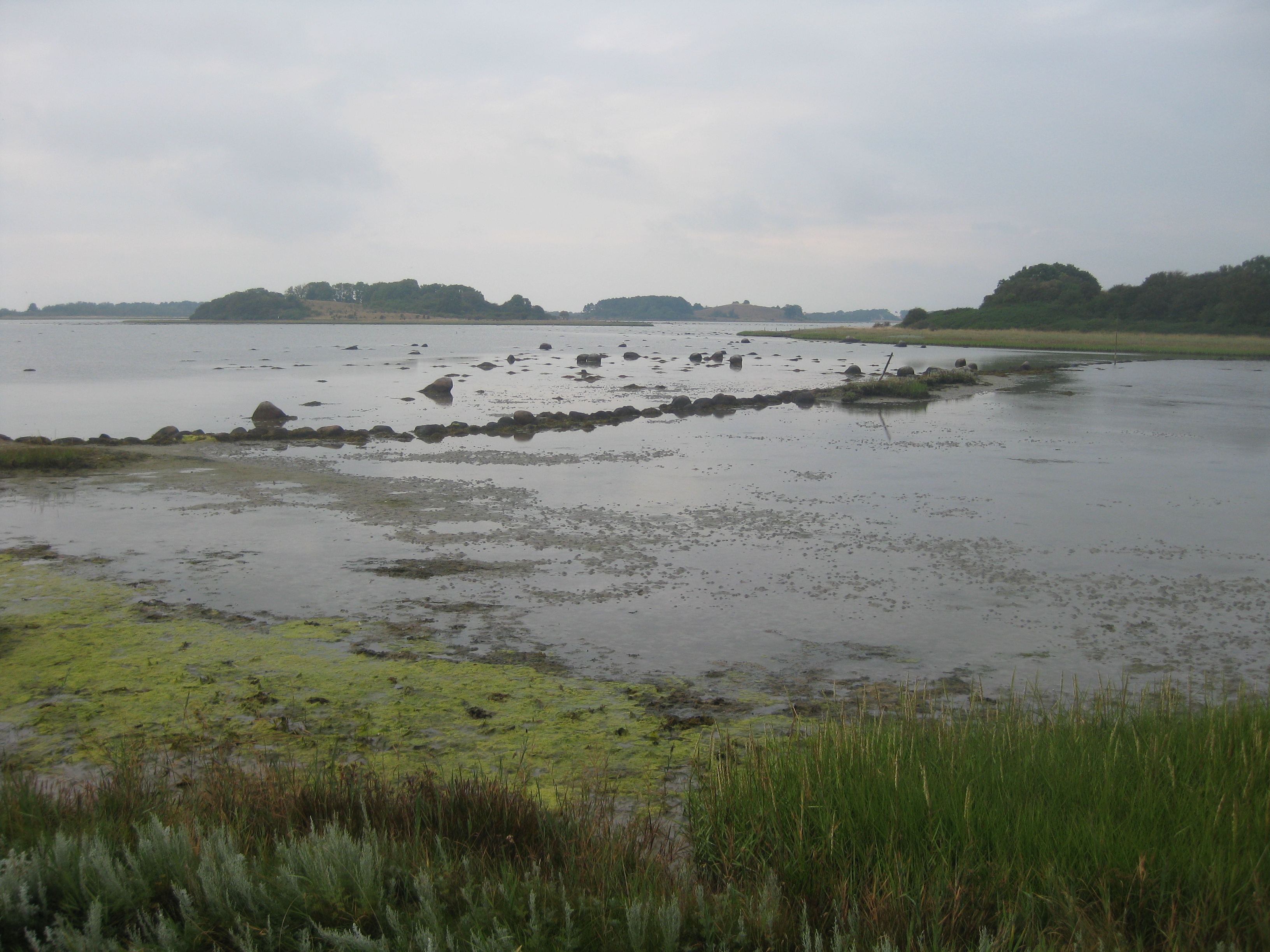 60 KM Wanderung um Sams&ouml; (20.08.2020)