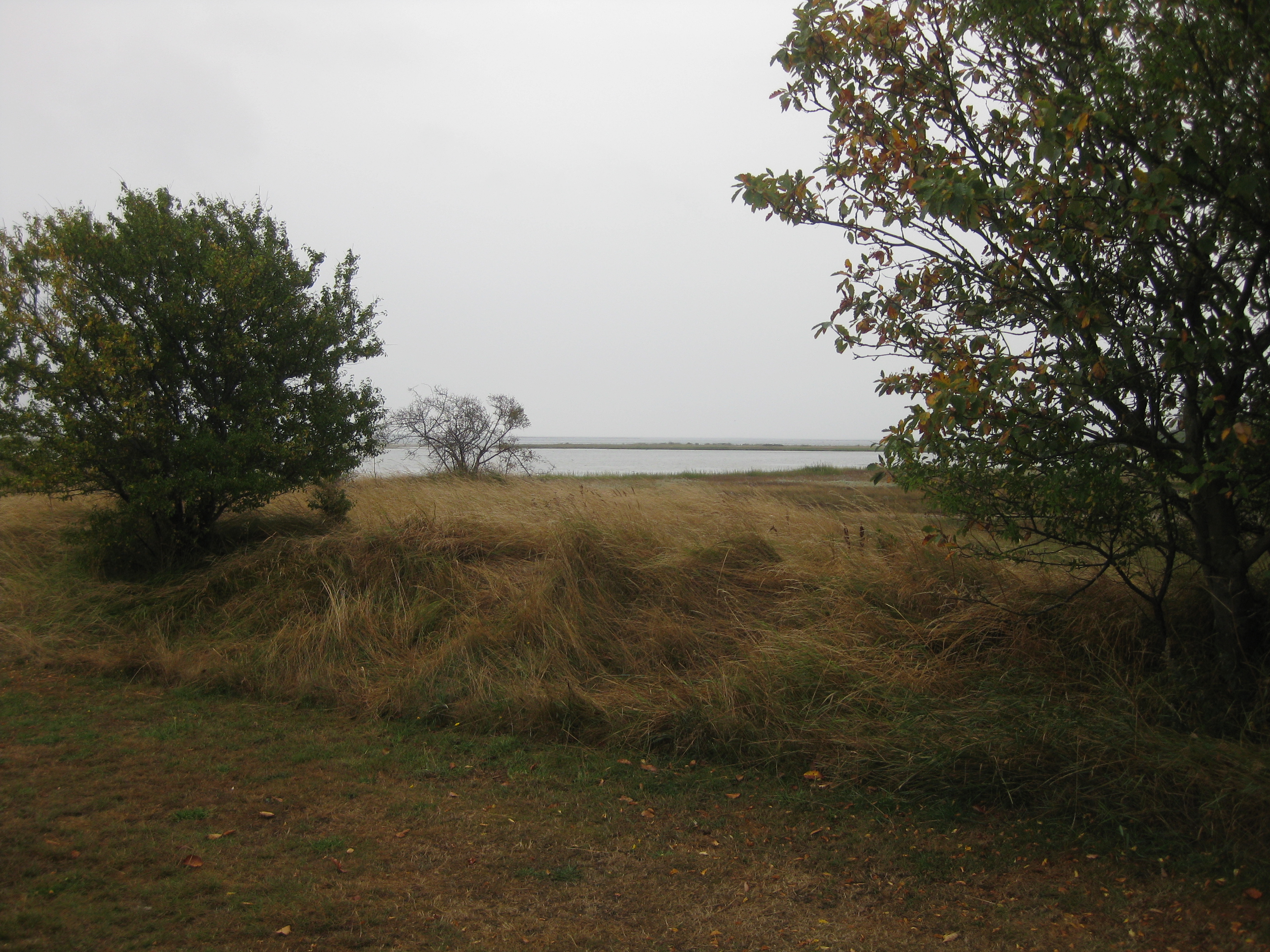 60 KM Wanderung um Sams&ouml; (20.08.2020)