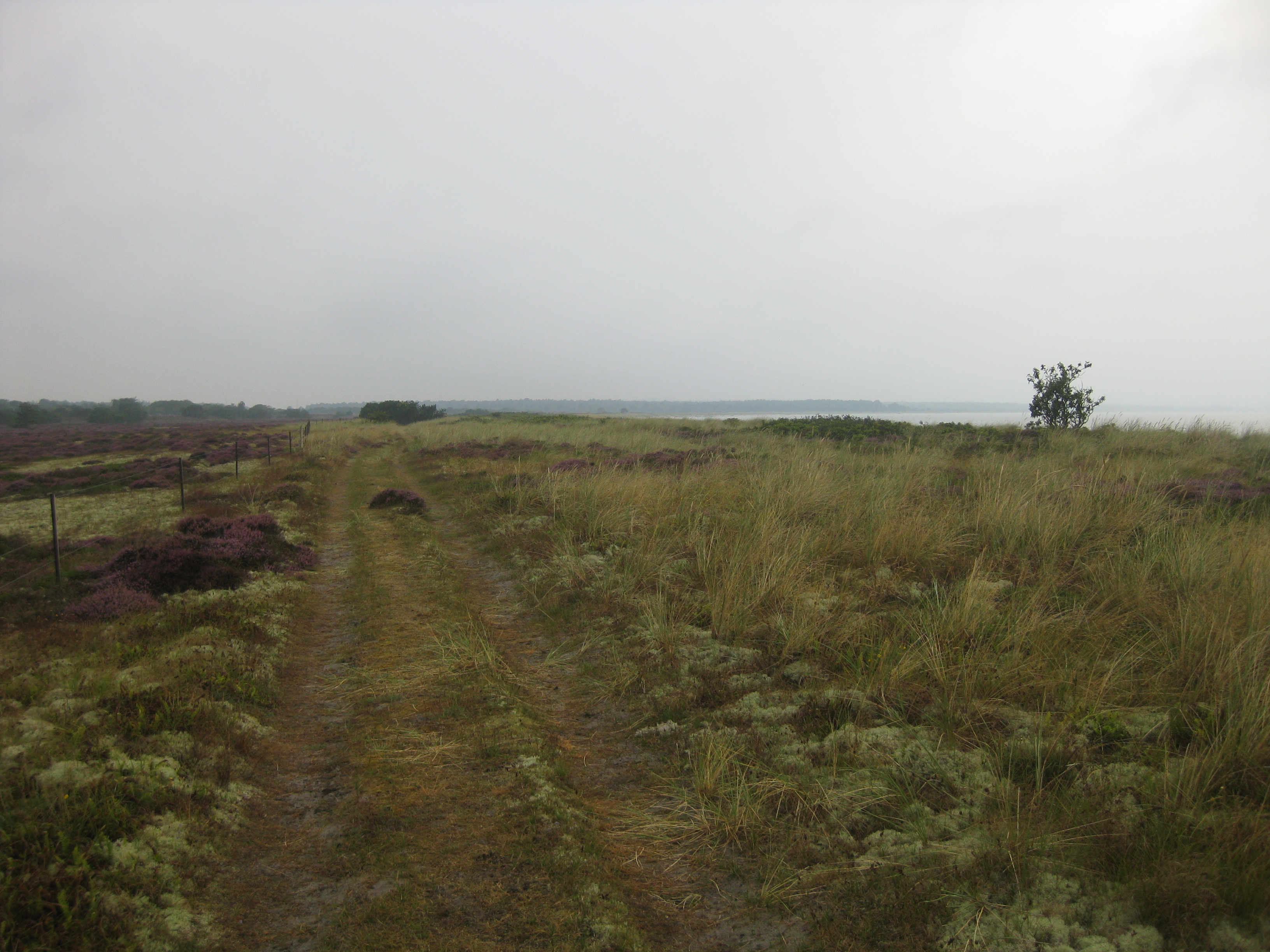 60 KM Wanderung um Sams&ouml; (20.08.2020)