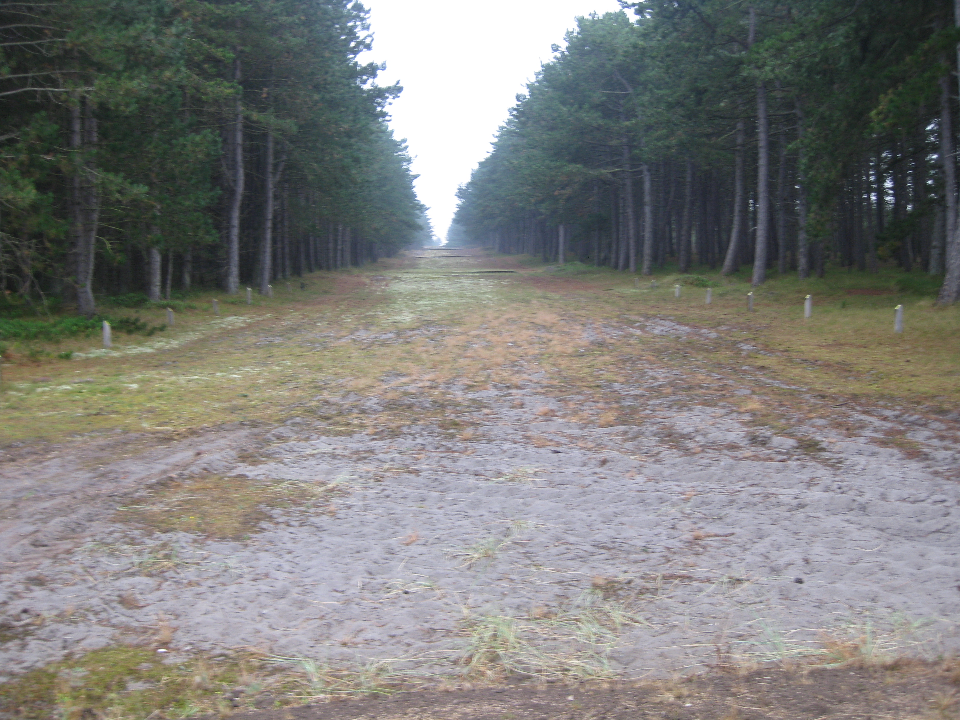 60 KM Wanderung um Sams&ouml; (20.08.2020)
