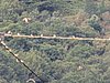 PXL_20260810_071447531.jpg
