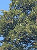 PXL_20260813_081228193.jpg