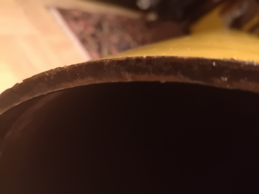 Das "polnische Schlachtross": parallaktischer Newton 250/1500mm