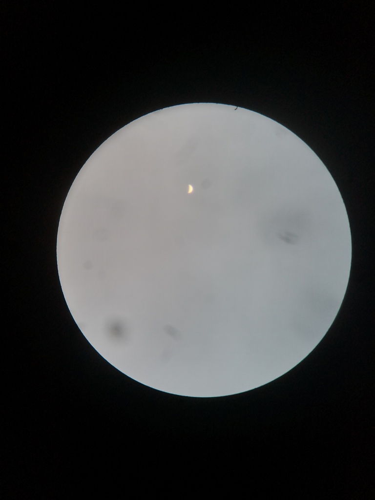 Tasco 17-V Refraktor 80/1200mm