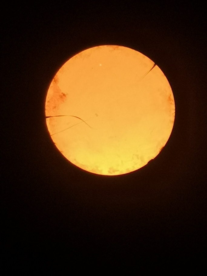 Vixen 102M - FH-Refraktor 102/1000mm